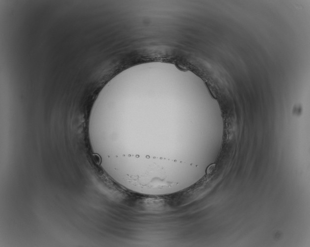 X0000093760279200711061118