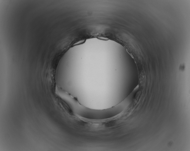 X0000093760280200711061118