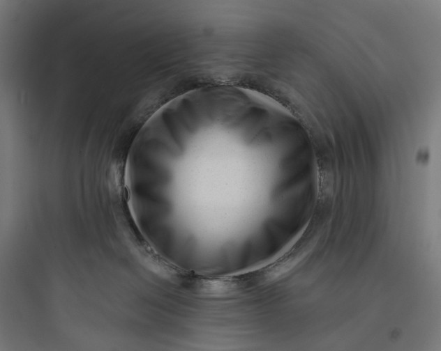 X0000093760286200711061118