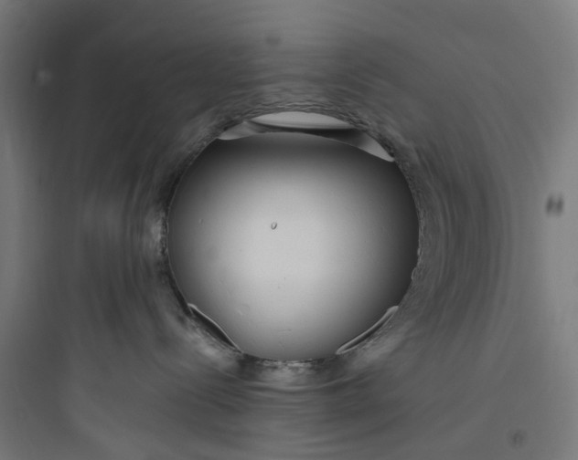 X0000093760288200711061118