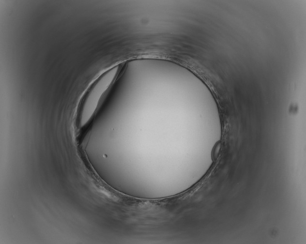 X0000093760290200711061117