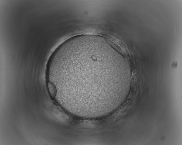 X0000093760292200711061117