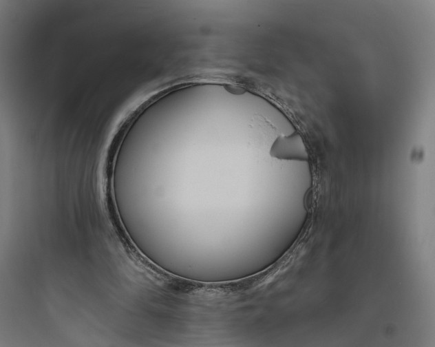 X0000093760294200711061117