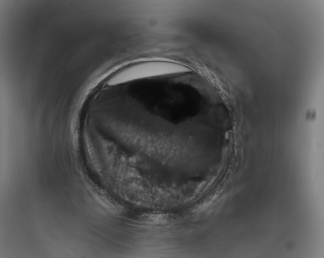 X0000093760295200711061117