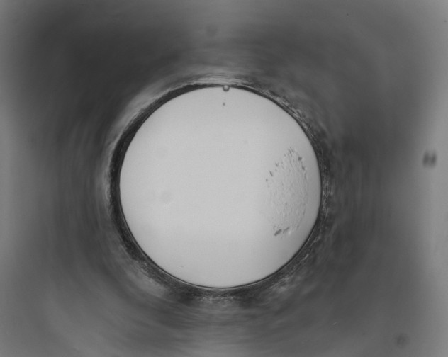 X0000093760296200711061117