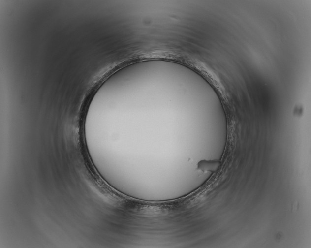 X0000093760298200711061117