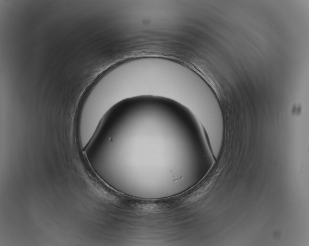 X0000093760301200711061117