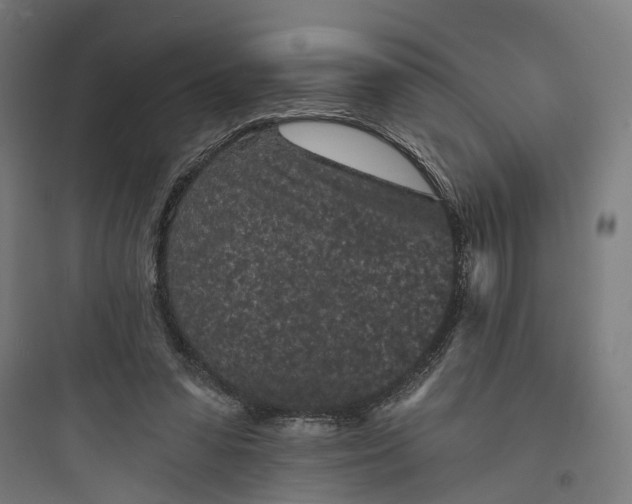 X0000093760303200711061117