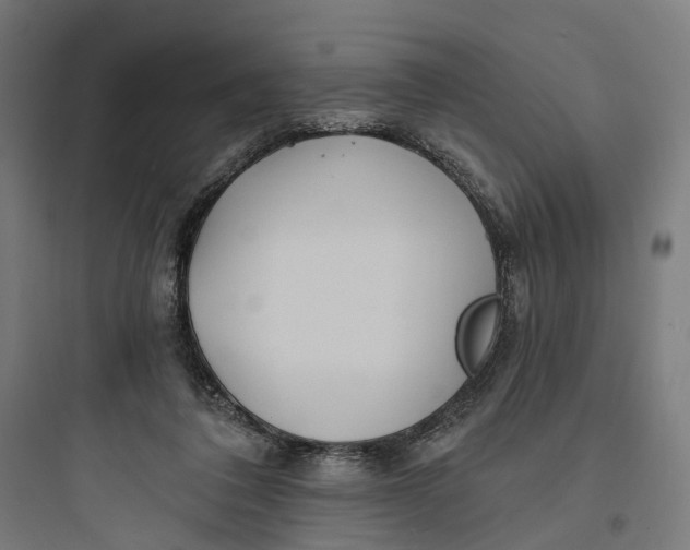 X0000093760308200711061117