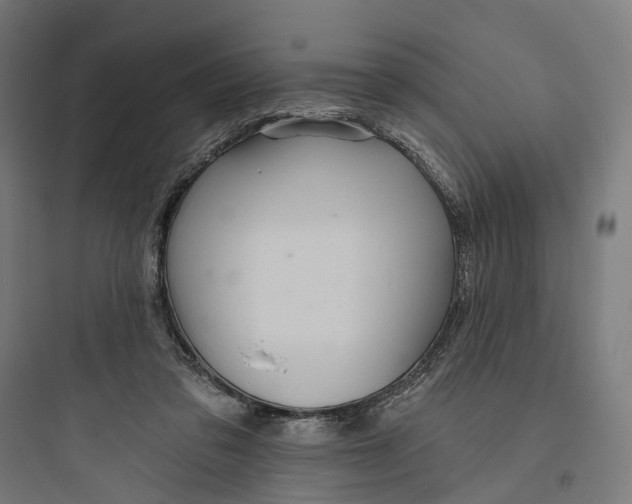 X0000093760309200711061117