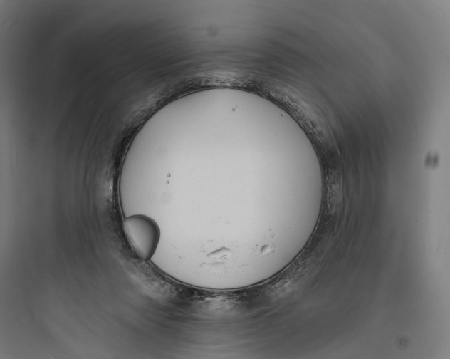 X0000093760310200711061117