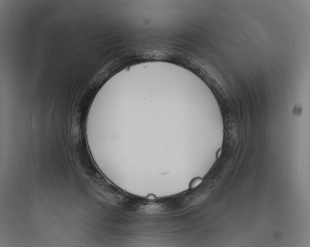 X0000093760312200711061117