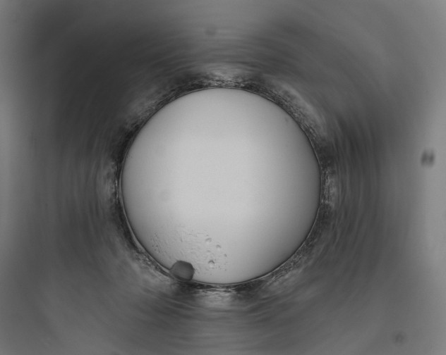 X0000093760318200711061117