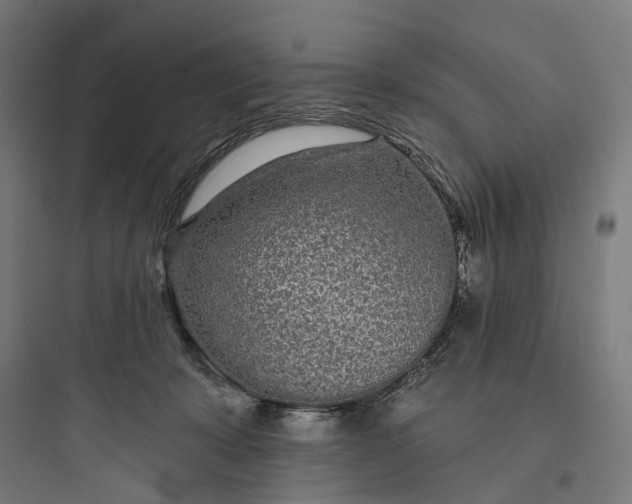 X0000093760319200711061117