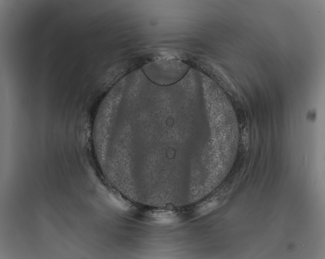 X0000093760322200711061117