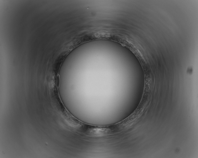 X0000093760323200711061117