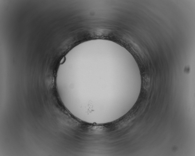 X0000093760324200711061116