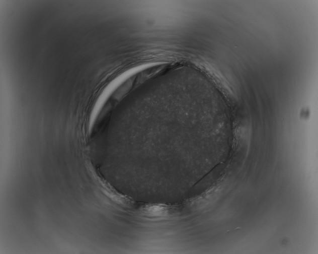 X0000093760325200711061116