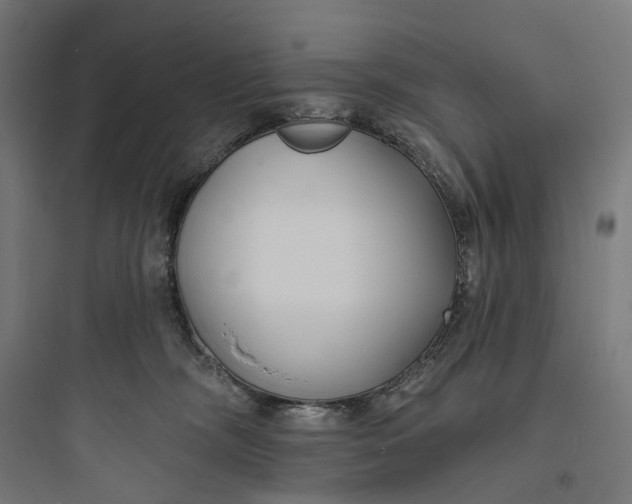 X0000093760326200711061116