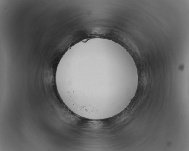 X0000093760328200711061116