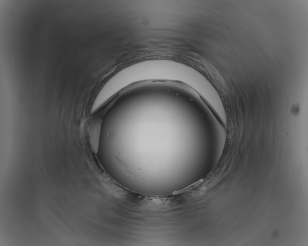 X0000093760329200711061116