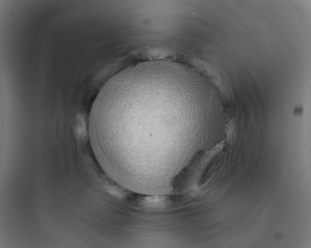 X0000093760335200711061116