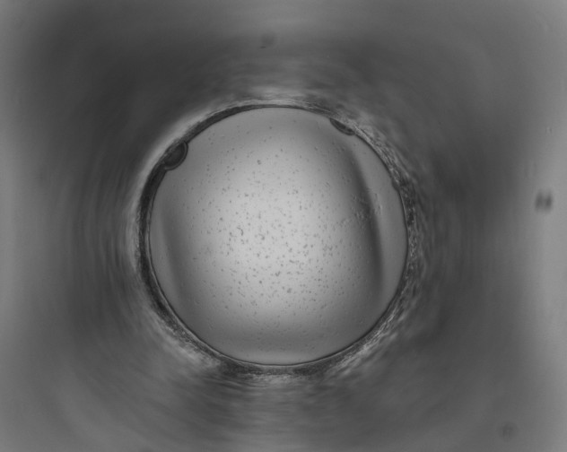 X0000093760342200711061116