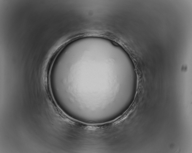 X0000093760343200711061116