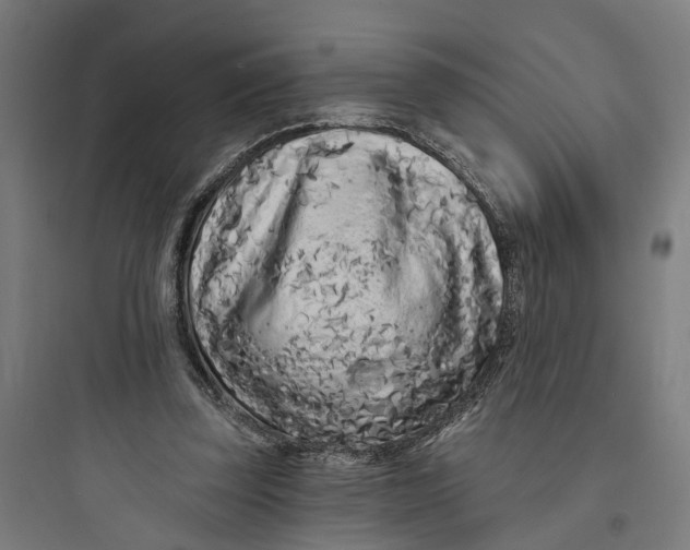 X0000093760347200711061116