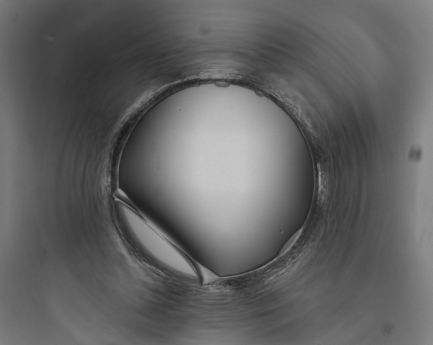 X0000093760348200711061116