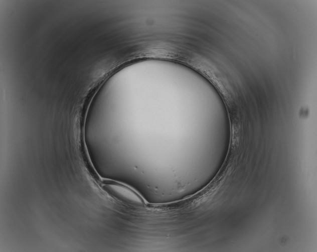 X0000093760349200711061116