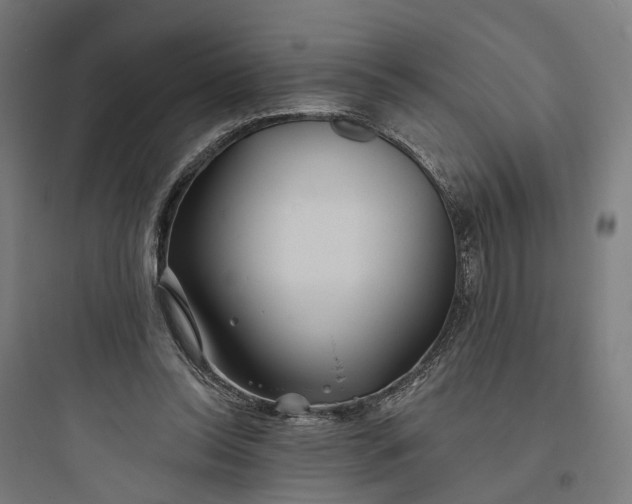 X0000093760350200711061116