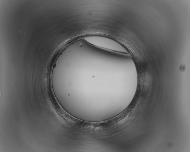 X0000093760352200711061116