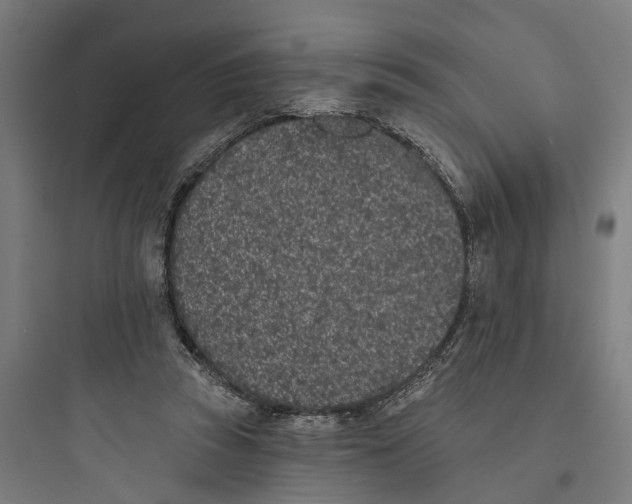 X0000093760353200711061116