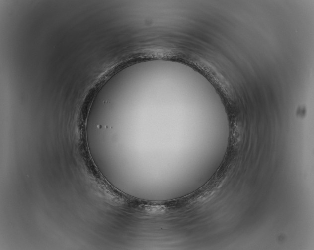 X0000093760355200711061116