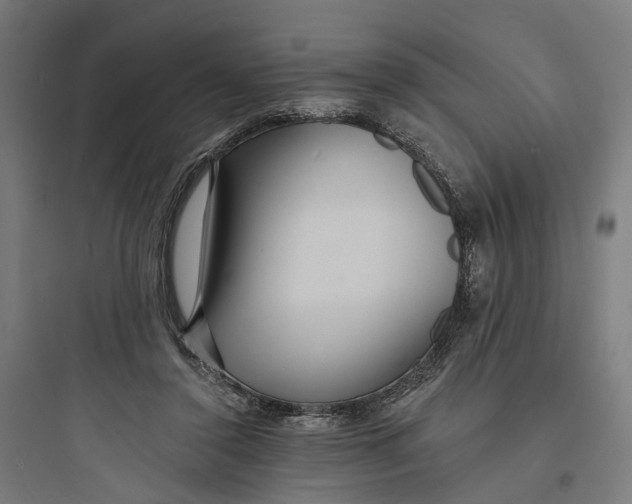 X0000093760356200711061116