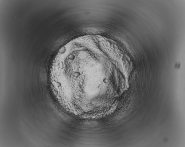 X0000093760357200711061116