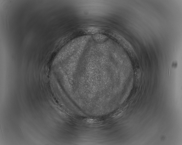 X0000093760361200711061116