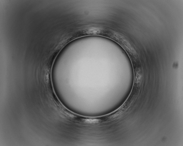 X0000093760363200711061116