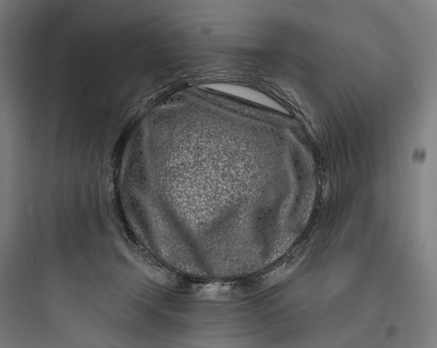 X0000093760366200711061116