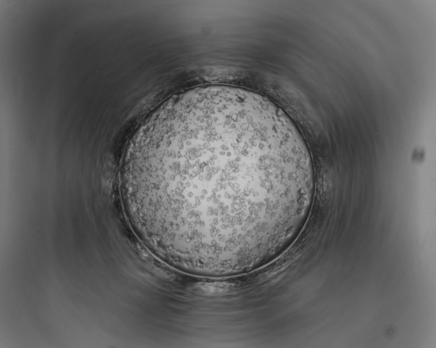 X0000093760367200711061116