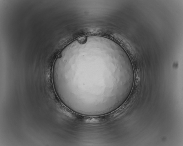 X0000093760369200711061116