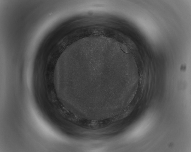 X0000093760383200711061116