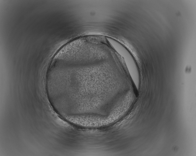 X0000093760385200711061115