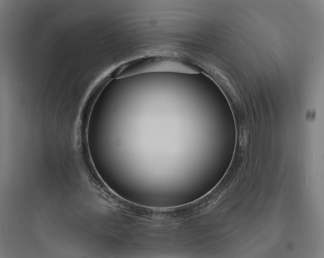 X0000093760388200711061115