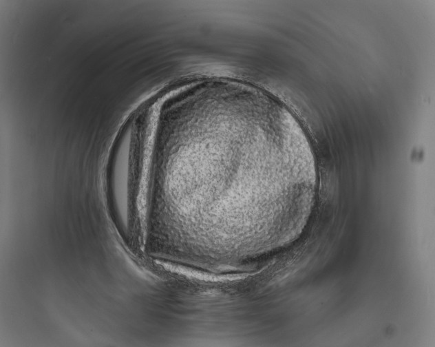 X0000093760390200711061115