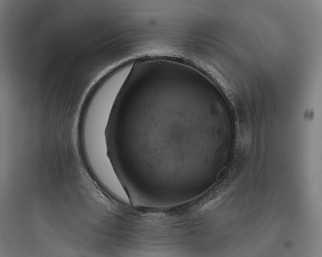 X0000093760391200711061115