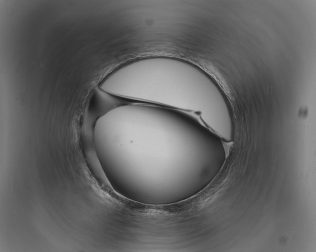 X0000093760393200711061115