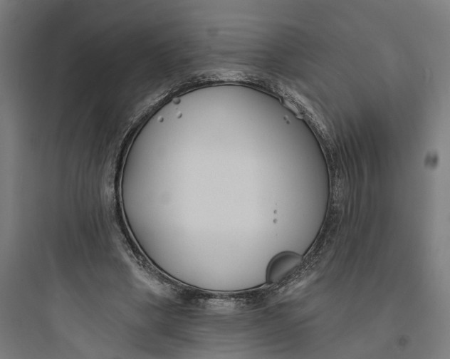 X0000093760394200711061115