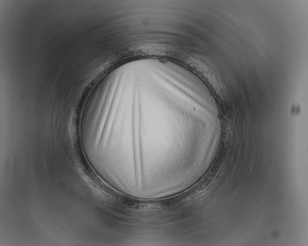 X0000093760398200711061115